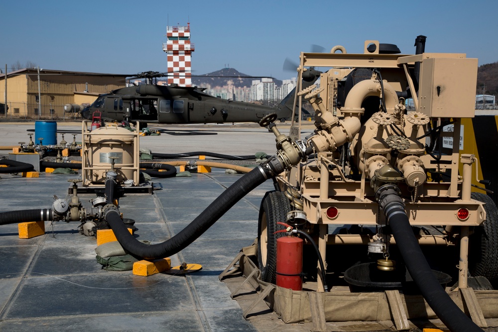Foal Eagle 2015