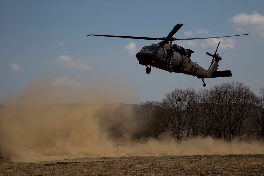 Foal Eagle 2015