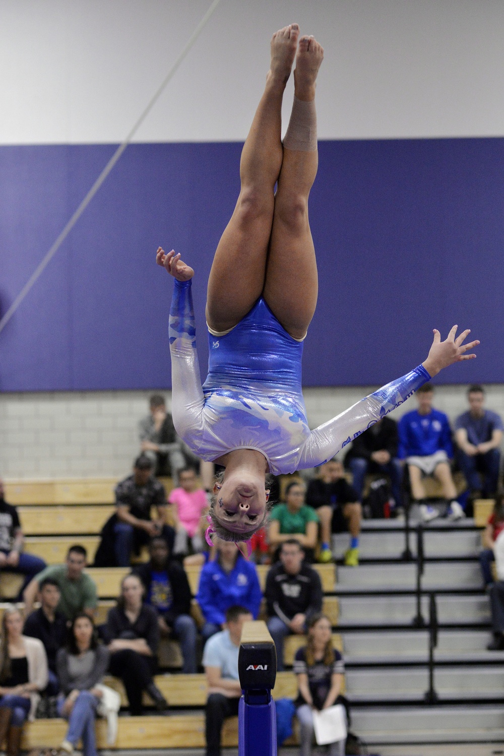 Air Force Academy gymnastics