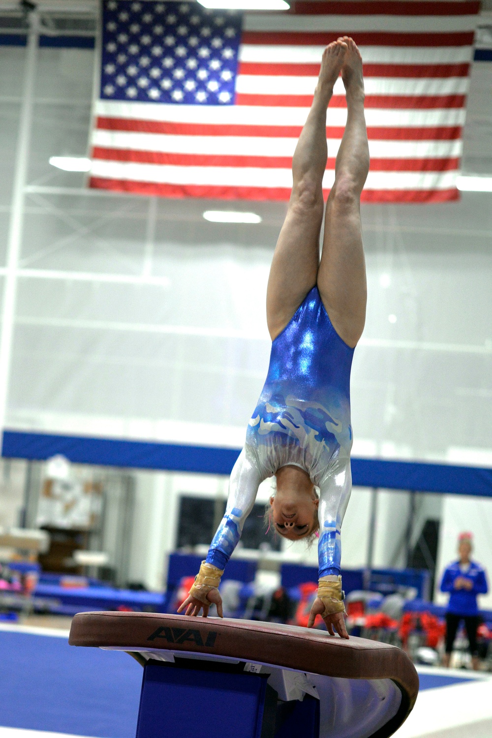 Air Force Academy gymnastics