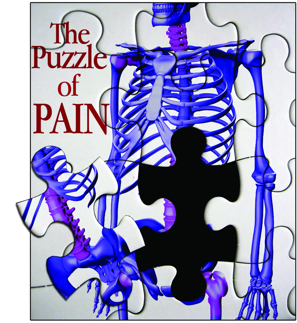 The Puzzle of Pain