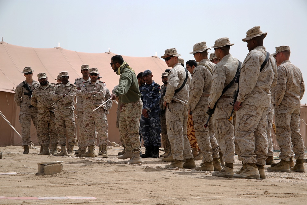 24th MEU conducts rehearsal drills with GCC allies during Exercise Eagle Resolve 2015