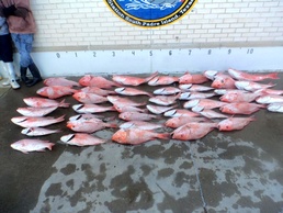 Coast Guard seized lancha, fish and long line gear