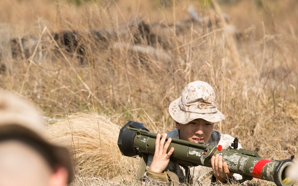 2/2 trains the trainer