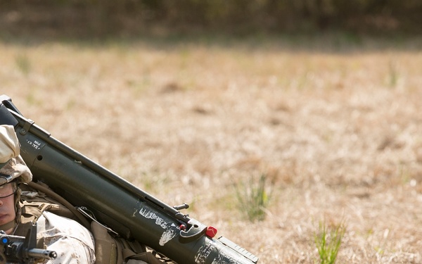 2/2 trains the trainer