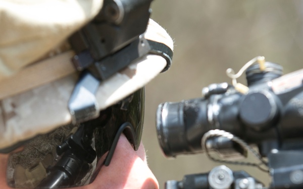 2/2 trains the trainer