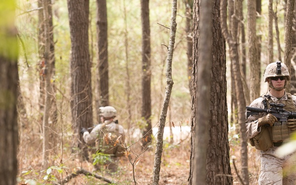 2/2 trains the trainer