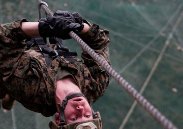 Climb and Place: Marines complete mountain warfare training in South Korea
