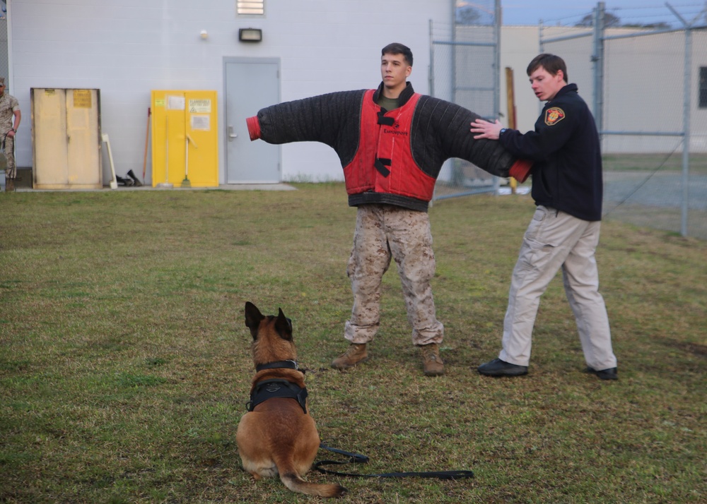 JROTC students see what all the bark is about