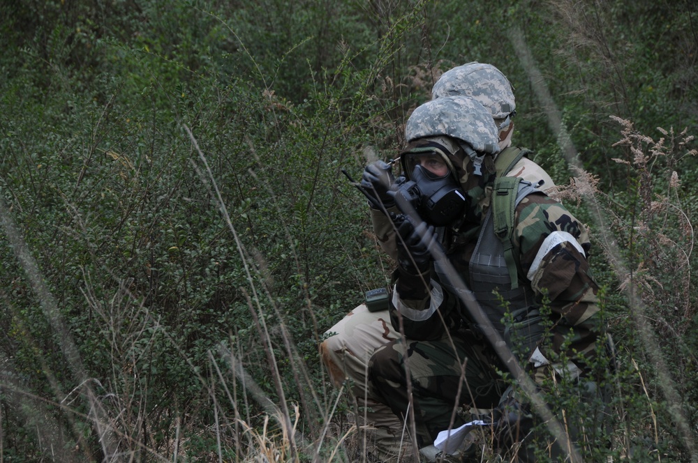 Global Dragon deployment for training