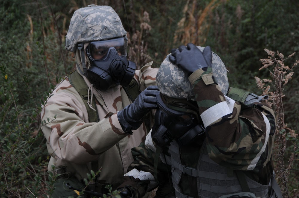 Global Dragon deployment for training