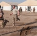 Coalition forces train together