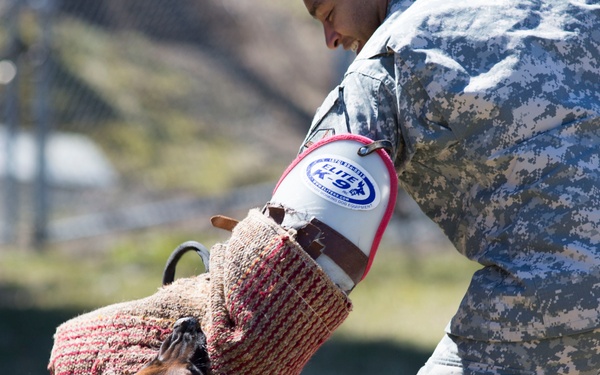 A bite (or two) out of crime