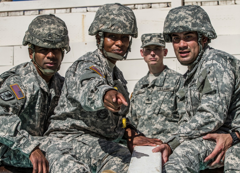 2015 Best Warrior and Drill Sergeant of the Year Competition