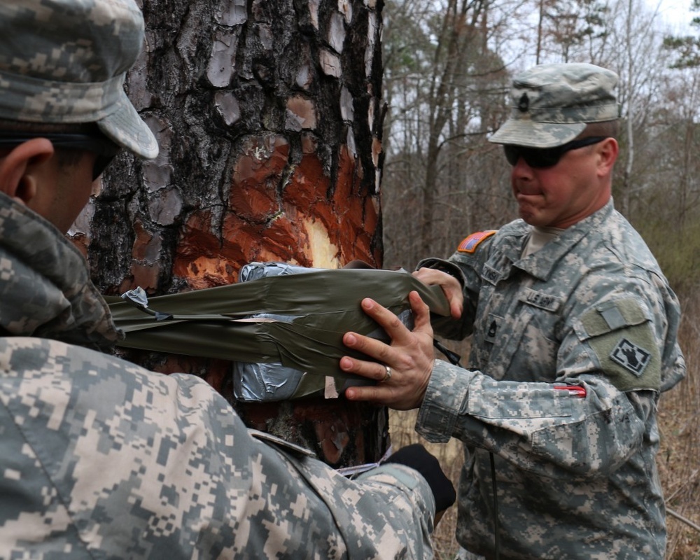 Soldiers, Marines clear trees and create habitats at Fort Pickett