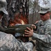 Soldiers, Marines clear trees and create habitats at Fort Pickett
