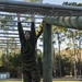 Marine recruits overcome obstacles on Parris Island’s Confidence Course