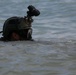 Marine Special Operations Team trains at Key West beaches, harbor during advanced amphib training