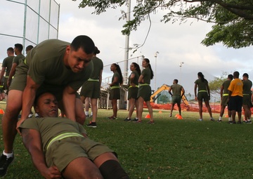 Headquarters Battalion conducts battalion physical training