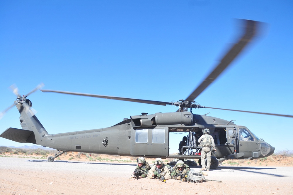 CAB, 1-36 IN conduct large-scale air assault training