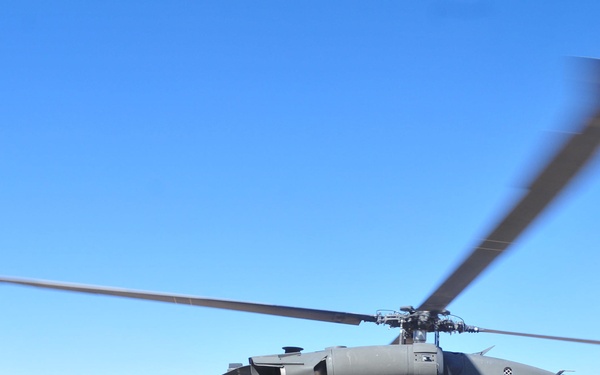 CAB, 1-36 IN conduct large-scale air assault training