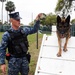 Military workings dogs