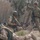 Iraqi soldiers learn from 82nd Abn.