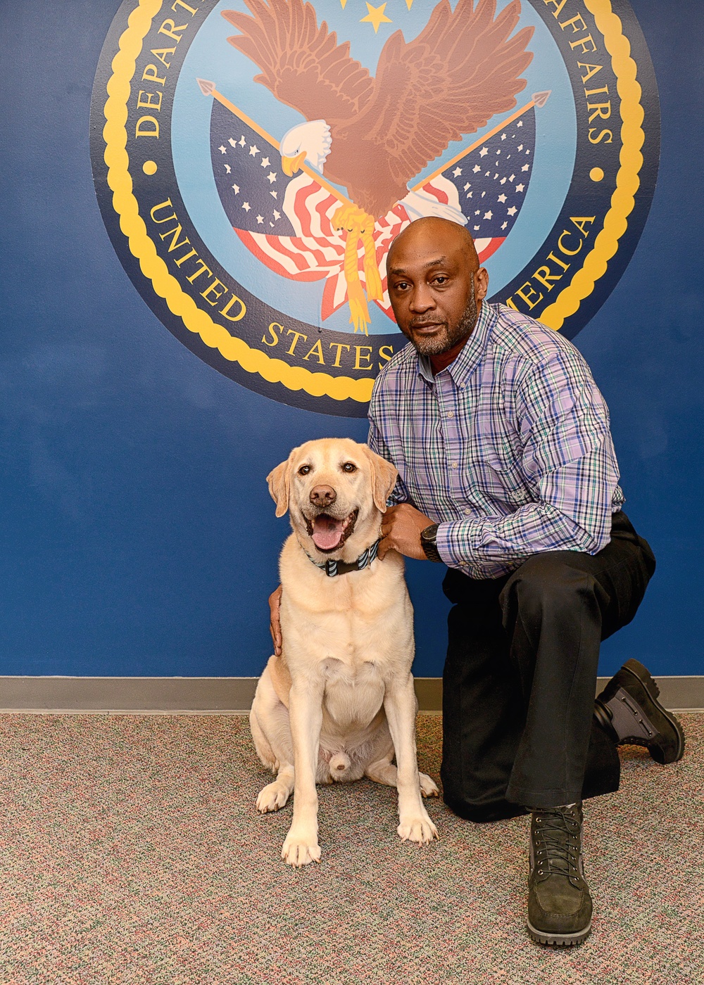 VA restarting study on service dogs and PTSD