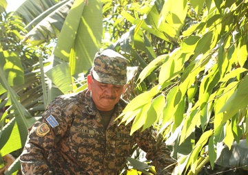 BTH-15 El Salvadoran electrician