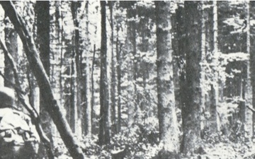4ID and the Battle of Huertgen Forest