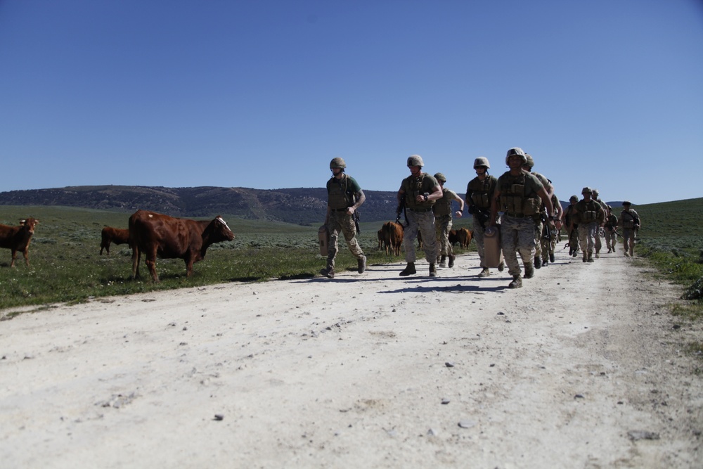 Marines Conduct Trilateral Training during Lisa Azul
