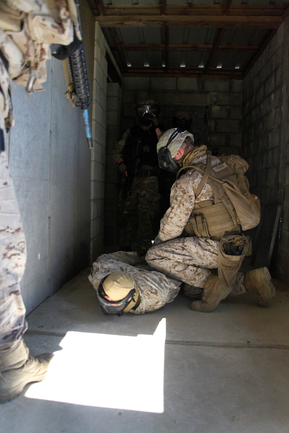 Security Force Marines conduct trilateral training during Lisa Azul