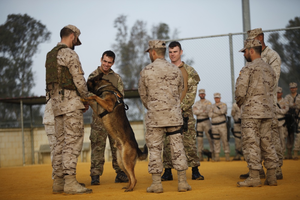 Security Force Marines conduct trilateral training during Lisa Azul