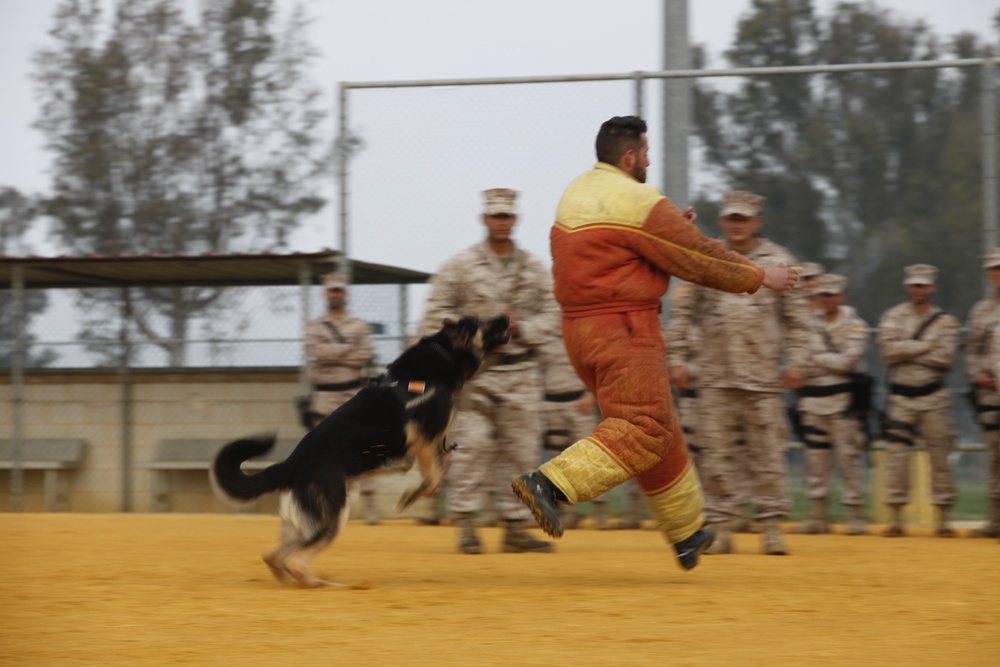 Security Force Marines conduct trilateral training during Lisa Azul