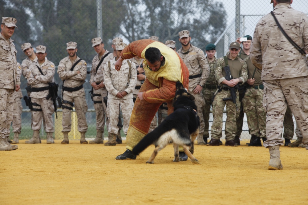 Security Force Marines conduct trilateral training during Lisa Azul