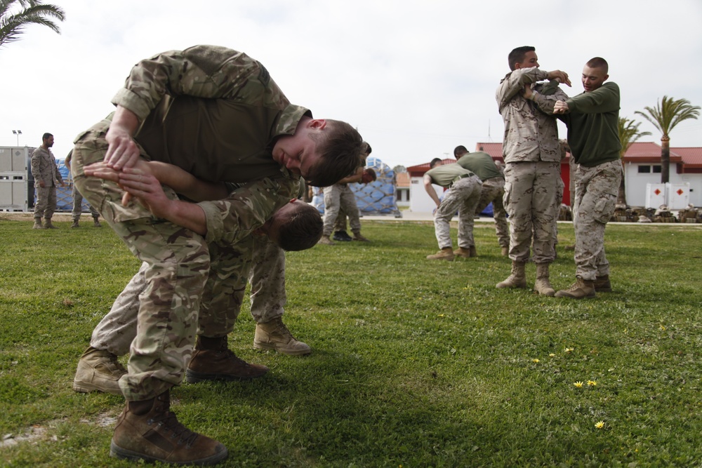 Security Force Marines conduct trilateral training during Lisa Azul