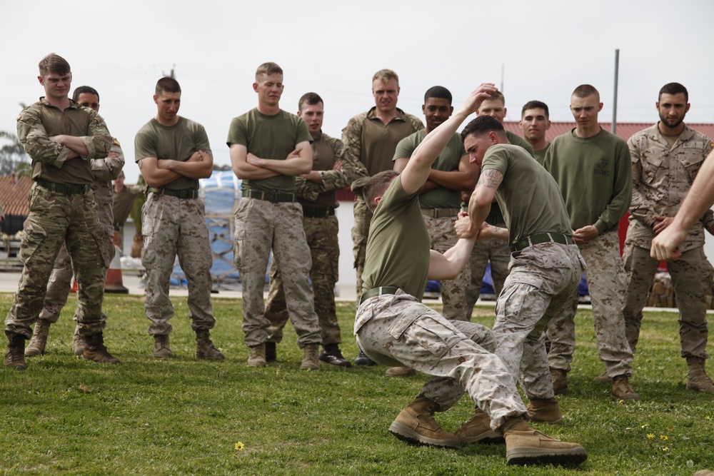 Security Force Marines conduct trilateral training during Lisa Azul