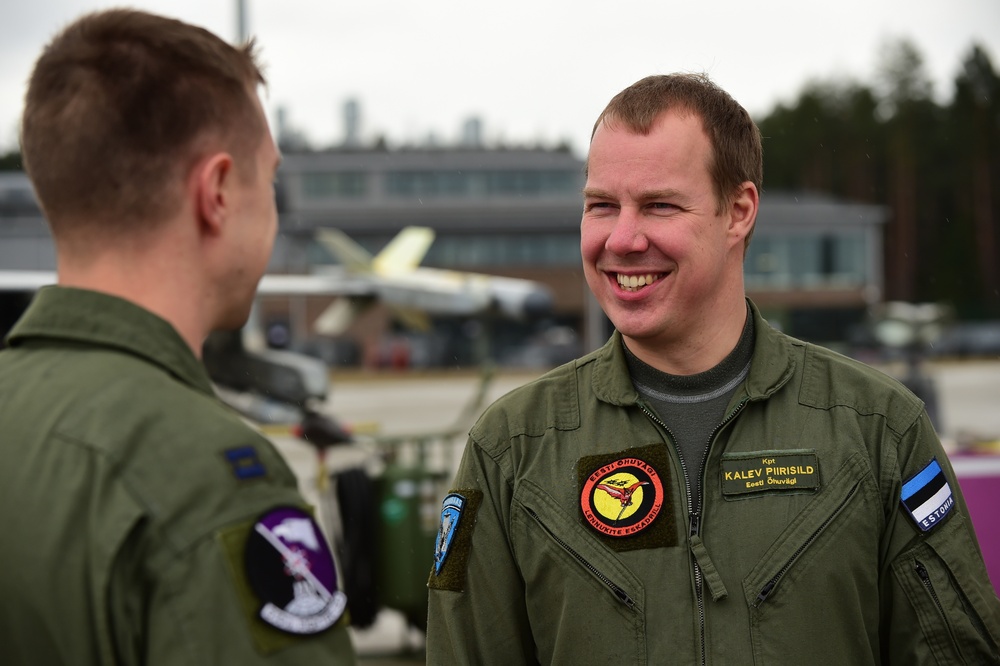 Pilots, ground forces exercise Forward Air Controller (Airborne) mission over Estonian