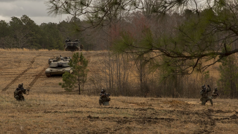Collaborated Assault: Marines with 2nd Tanks, 2nd AAV and 3/8 assault and secure a village