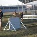 PMO Demonstrates Military Working Dog Capabilities to JROTC Students