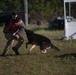 PMO Demonstrates Military Working Dog Capabilities to JROTC Students