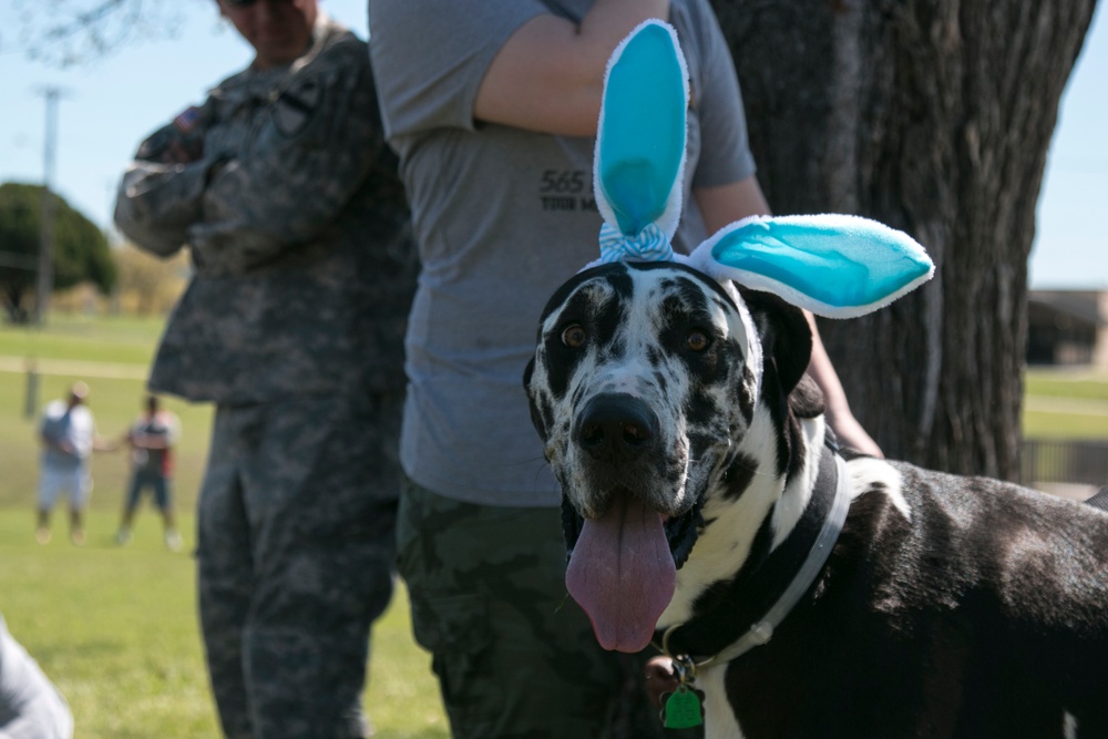 Cav families gather for Easter fun