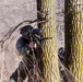 RS Twin Cities Marines Conduct Paintball Team-Building Event