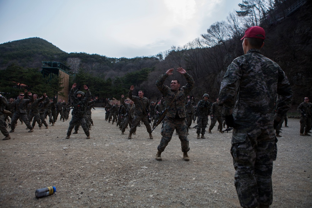 31st MEU trains with ROK Marines