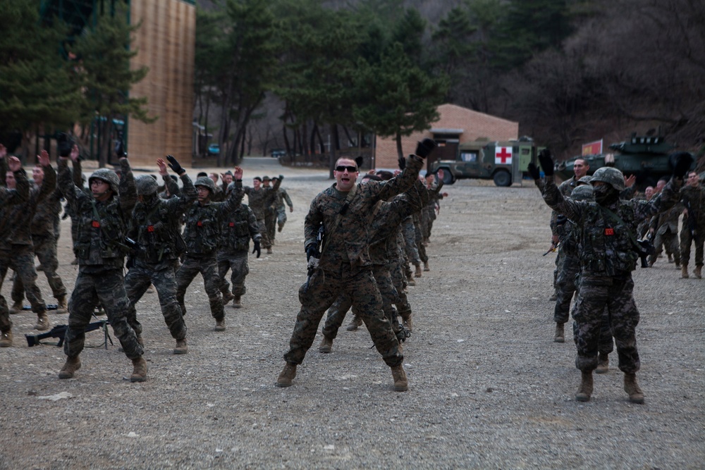 31st MEU trains with ROK Marines