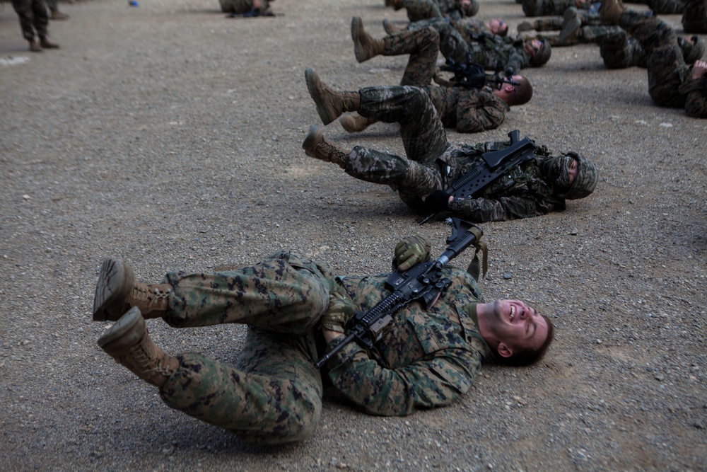 31st MEU trains with ROK Marines