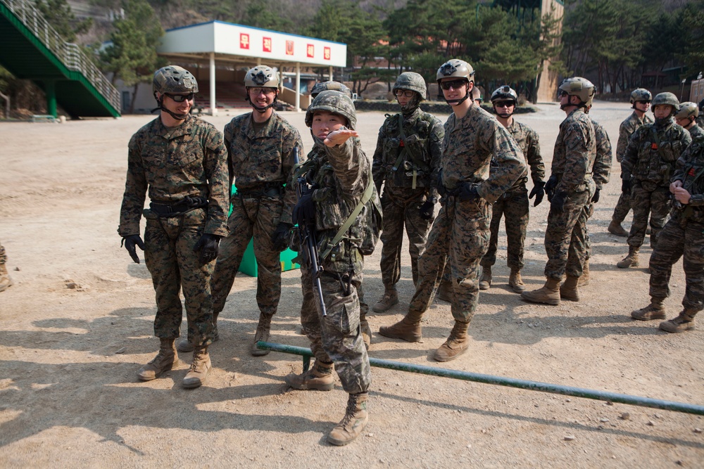 31st MEU trains with ROK Marines