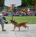 Fort Stewart’s dog and pony show, without the ponies