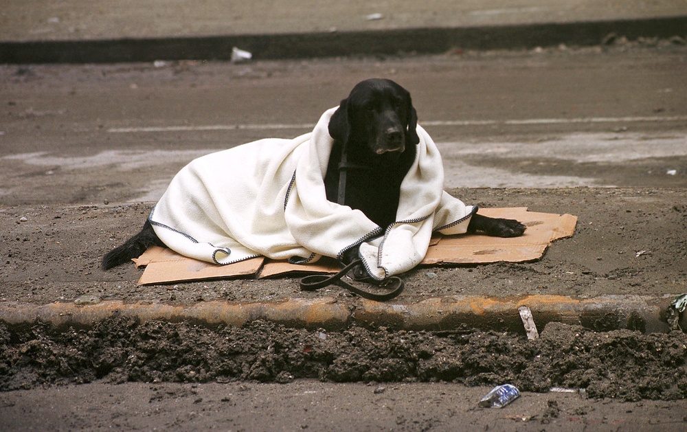 Ground Zero, Sept. 14, 2001