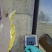 Scanning for particulates